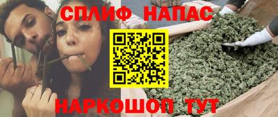 дмт Будённовск