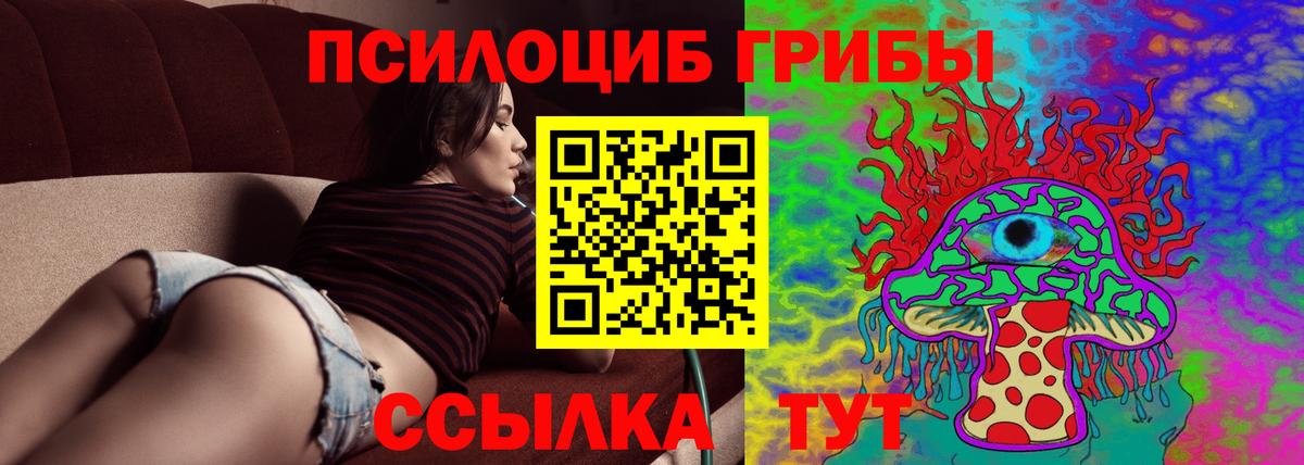 Красногорск  Псилоцибиновые грибы прущие грибы  Псилоцибиновые грибы MAGIC MUSHROOMS  Вход с VPN 