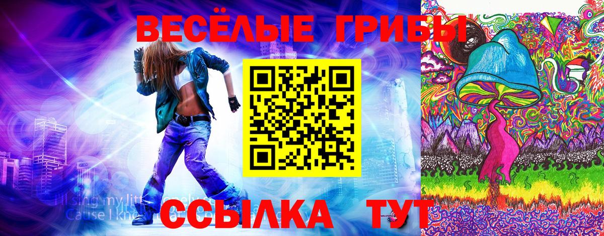 Галлюциногенные грибы Cubensis Красногорск